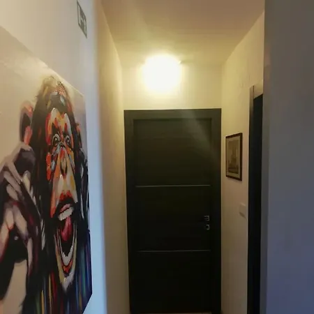 Alnea Apartment Split